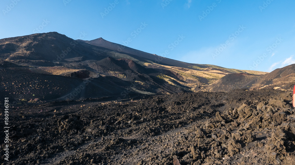SICILY, CATANIA, MOUNT ETNA, active volcano of Sicily, still erupting, with its iron colors and lunar environment, still gives chanche to some flowers to grow.
