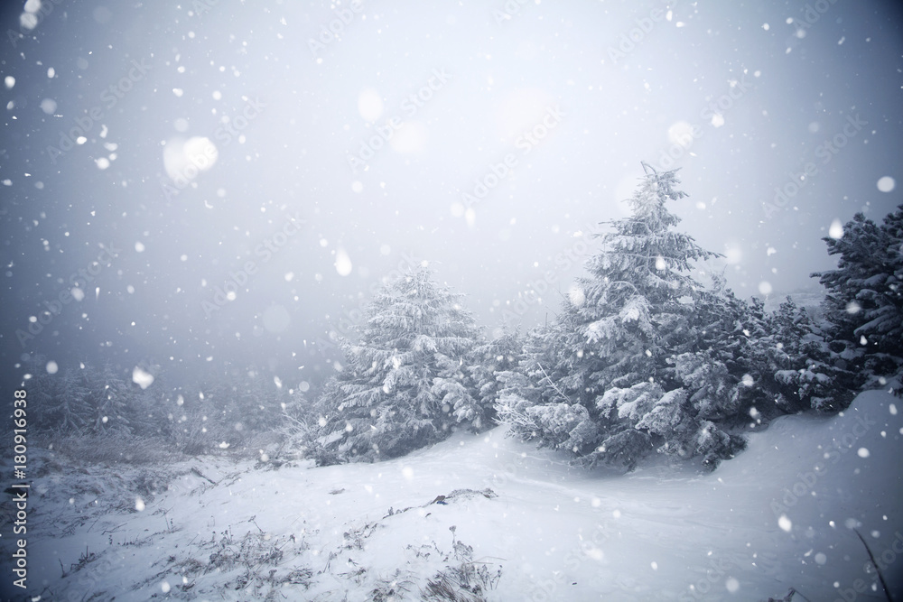 Trees covered with hoarfrost and snow in winter mountains - Christmas snowy backgroundic holiday background Trees covered with hoarfrost and snow in winter mountains - Christmas snowy backgroundic holiday background
