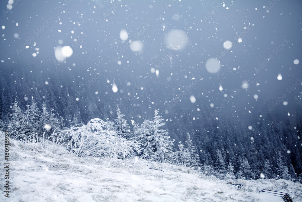 Trees covered with hoarfrost and snow in winter mountains - Christmas snowy backgroundic holiday background Trees covered with hoarfrost and snow in winter mountains - Christmas snowy backgroundic holiday background