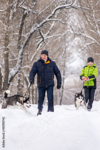 The father and son are walking with the husky dogs in the park in the winter.