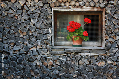 window with flowers from a rural Alps house - Aosta Valley Italy