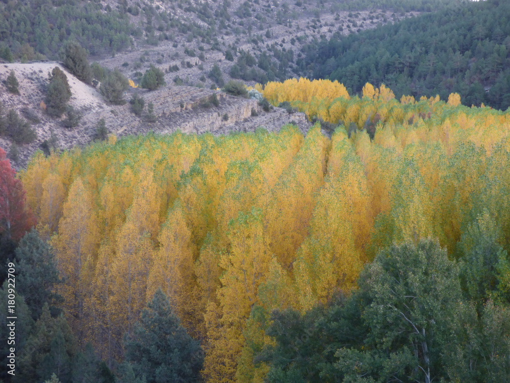 Paisaje de  otoño en Calomarde (Teruel, España)