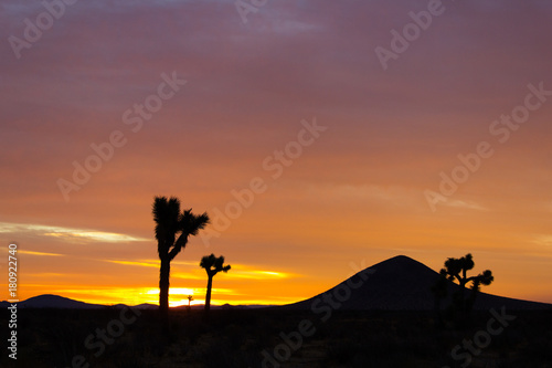 Desert Sunset