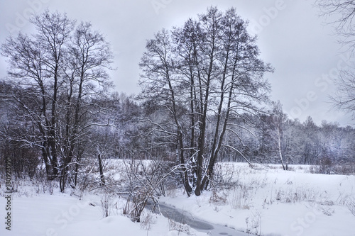 Beautiful winter landscape. Toned. © Tatiana Lukina