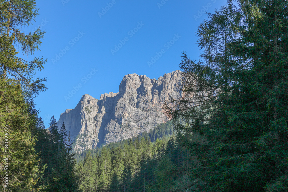 Landscape with a green forest, mountains and blue sky.