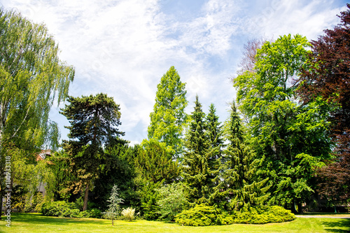 Photography Park with green trees and grass in Prague, Czech Republic