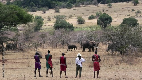 Tourist stands with tribesman watching nearby Elephants.