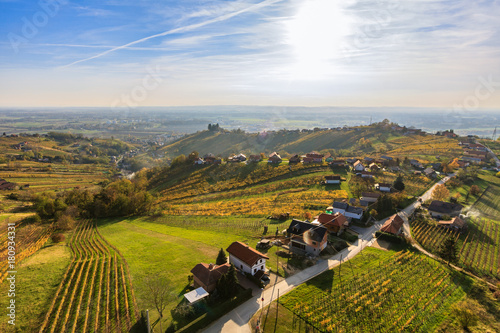 The view of Lendavske Gorice with wine yards from Vinarium tower photo