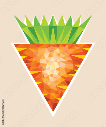 Carrot in Polygonal Style