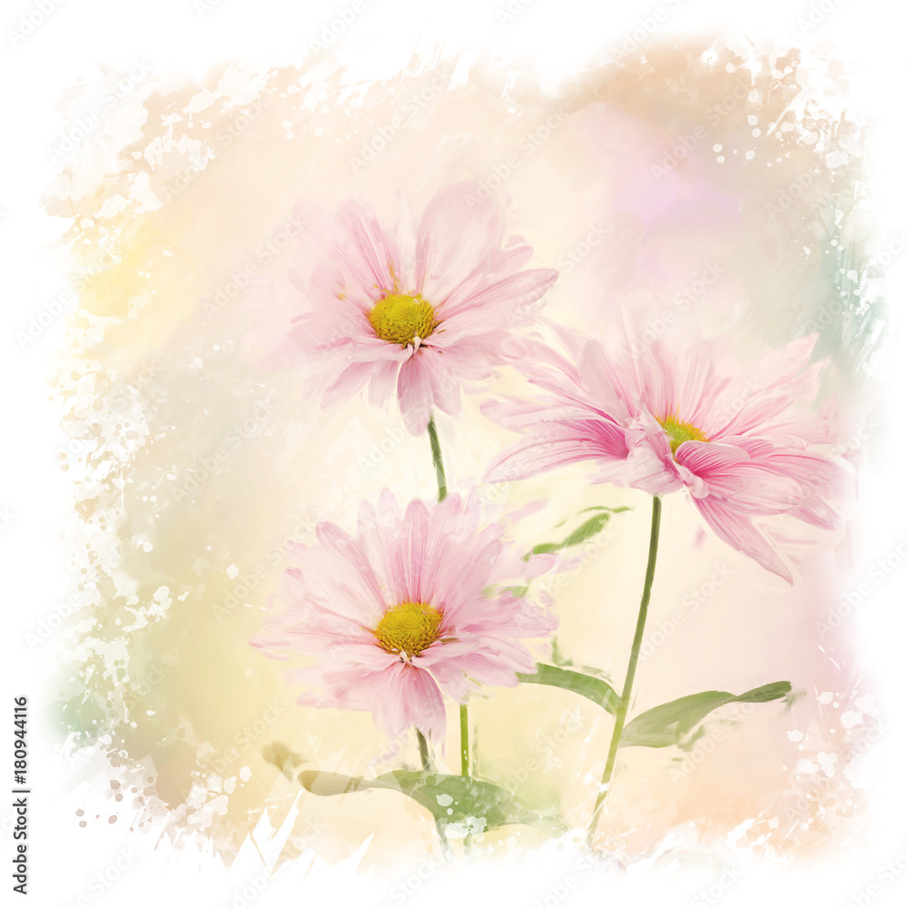 Obraz Różowa stokrotka Kwitnie akwarela