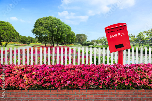 Fototapeta Naklejka Na Ścianę i Meble -  Red mail box located between old fence wood and varicoloured bougainvillea paper flowers with public park as background