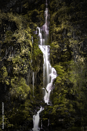 Oregon Roadside Water Fall on the Mckenzie pass