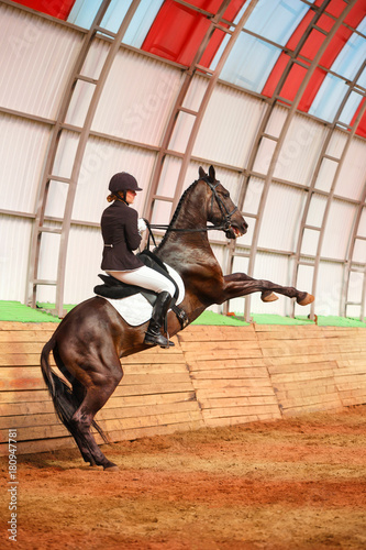 Jockey rides horse in arena © Vagengeim