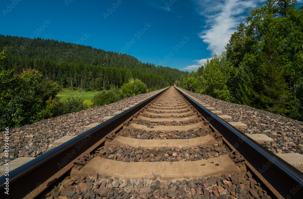 Fototapeta premium Converging Railroak Tracks