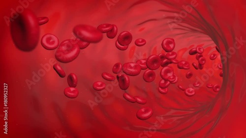 Computer generated video to simulate a red blood cells loop flowing inside vessel