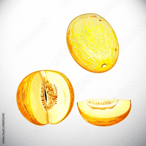 Fruit,melon