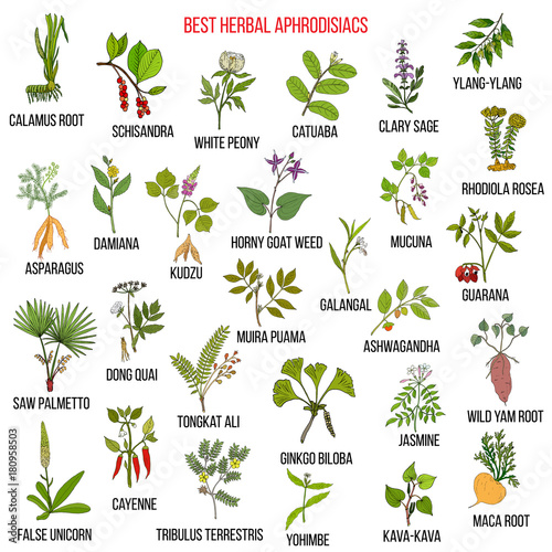 Best natural herbal aphrodisiacs