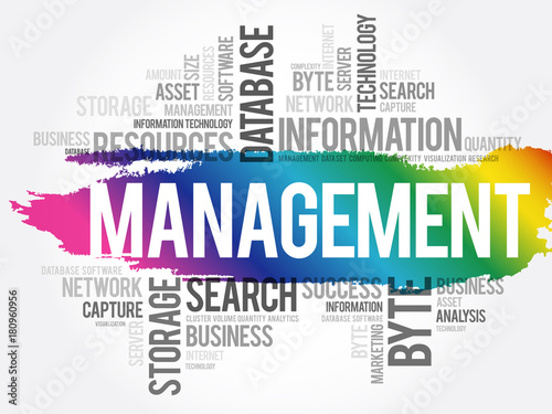 MANAGEMENT word cloud collage, business concept background
