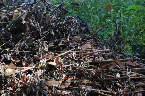 Reisighaufen im Naturgarten