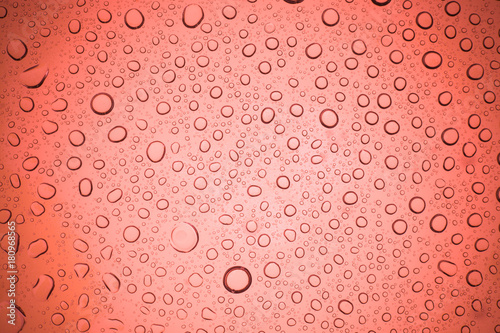 Rain droplets on red glass background  Water drops on glass.