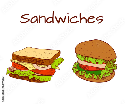 Sandwich and burger colored sketch. VECTOR colorful illustration.