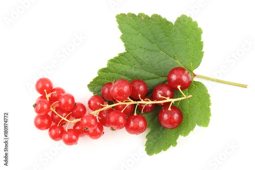 fresh red currant fruits isolated on a white background