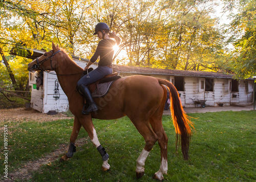Młoda ładna dziewczyna - jazda na koniu z podświetlanymi liśćmi