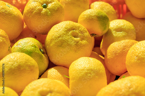 Many Yuzu in the container