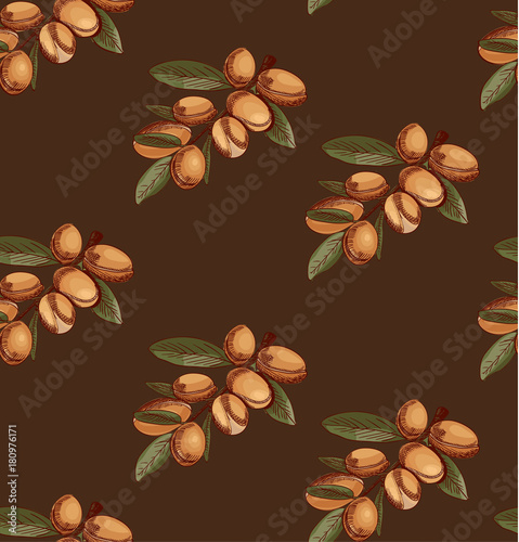 Seamless pattern with sketched argan, branch sketch. Colored. VECTOR art.