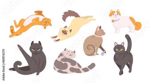 Collection of funny cats of various breeds lying, sitting, washing itself, playing with ball. Bundle of cute cartoon pet animals with colorful coats isolated on white background. Vector illustration.