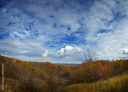 Autumn landscape. View of the forest with yellow foliage against the background of a cloudy sky.