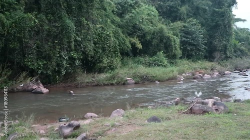 Flow of river with rock and green forest in Nan Thailand
