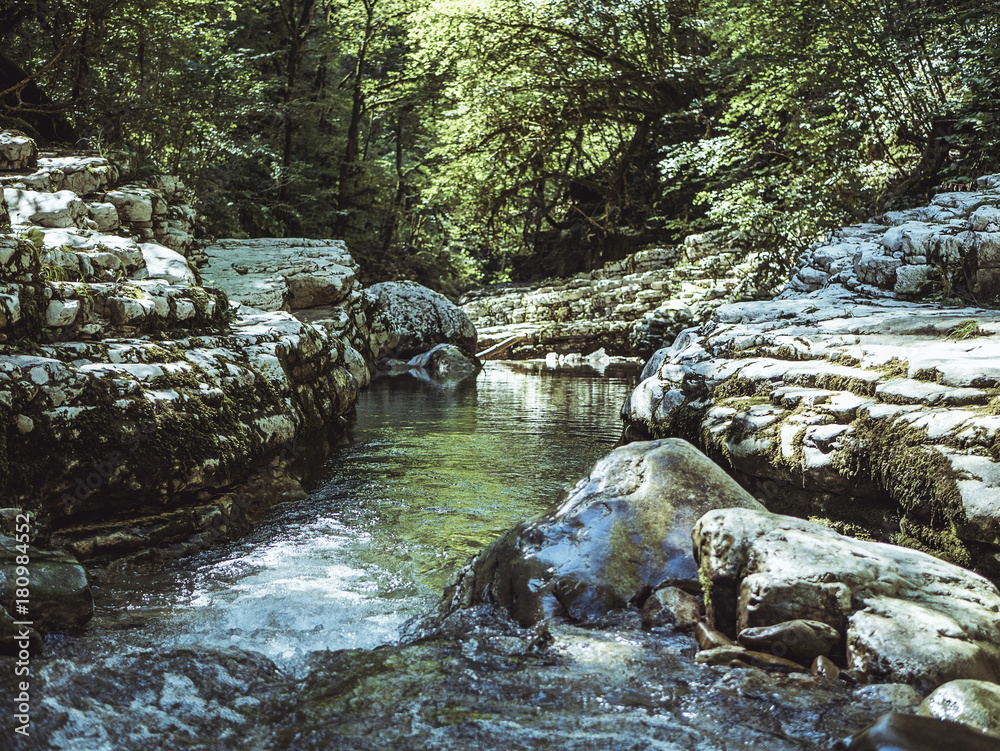 mountain canyon river reflection stream in the tropical forest mountain canyon river reflection stream in the tropical forest