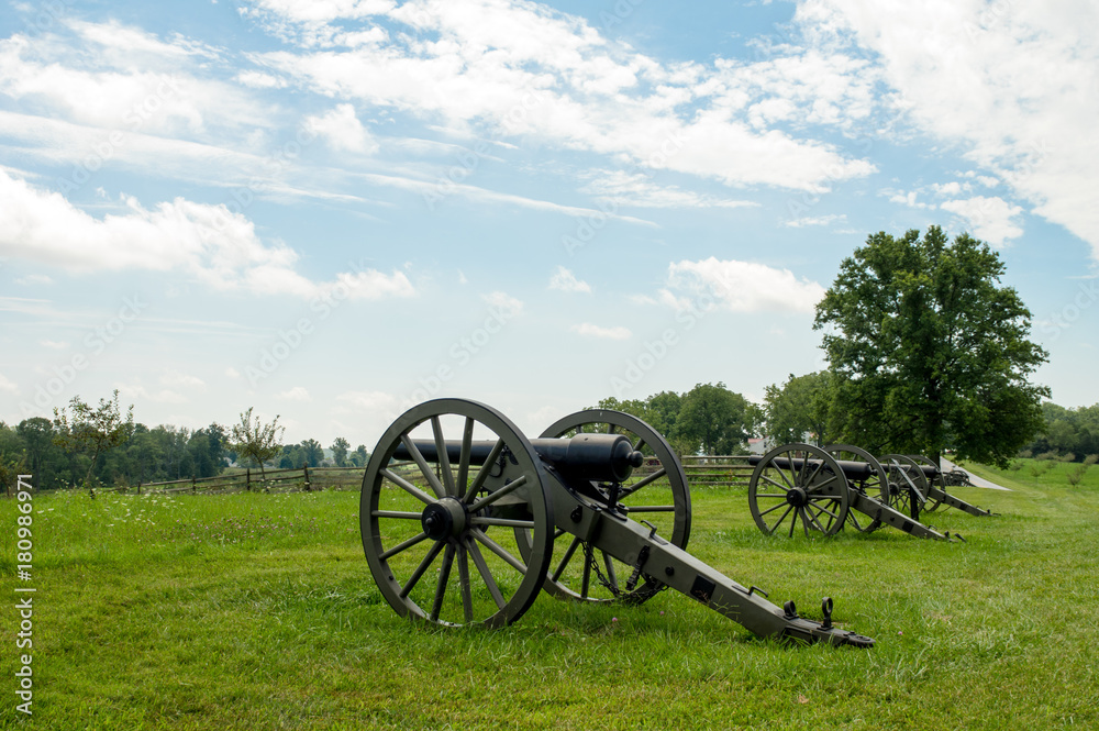 Row of Cannon Artillery Pointing over Landscape