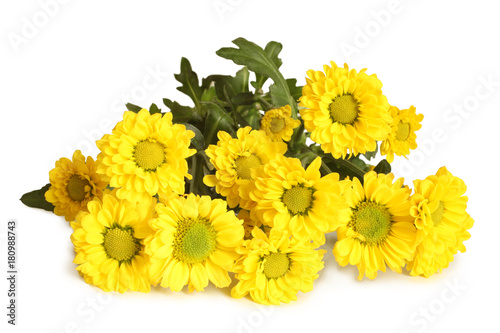 Bouquet of  yellow chrysanthemum