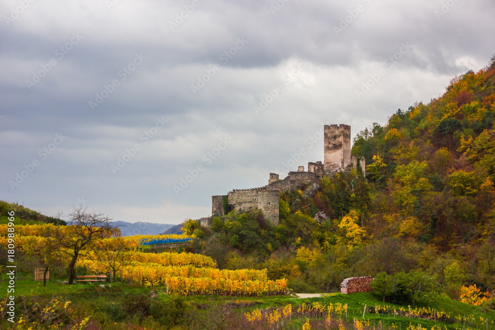 Spitz castle with autumn vineyard in Wachau valley, Austria.