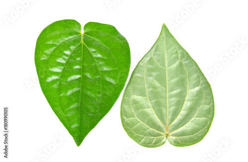Betel on a white background