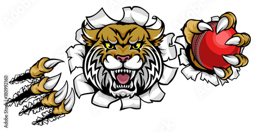 Wildcat Holding Cricket Ball Breaking Background