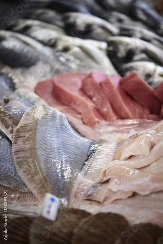 fresh fish in a fishshop photo