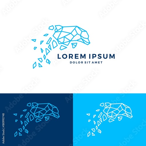 geometric dolphin logo vector