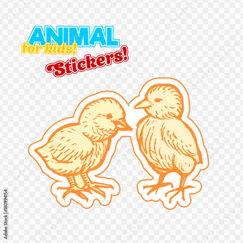 Farm animals chicken in sketch style on colorful sticker. Isolated on transparent background. Can be used for cute coloring book for children. Include silhouette for paper cutting