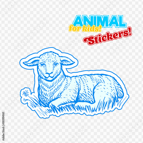 Farm animal lamb in sketch style on colorful sticker. Isolated on transparent background. Can be used for cute coloring book for children. Include silhouette for paper cutting