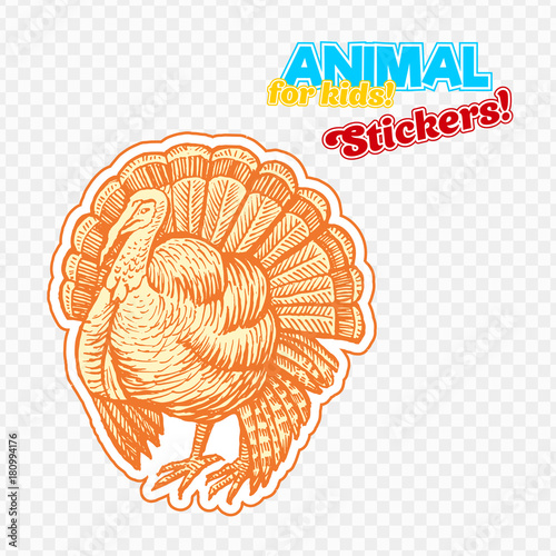 Farm animal turkey in sketch style on colorful sticker. Isolated on transparent background. Can be used for cute coloring book for children. Include silhouette for paper cutting