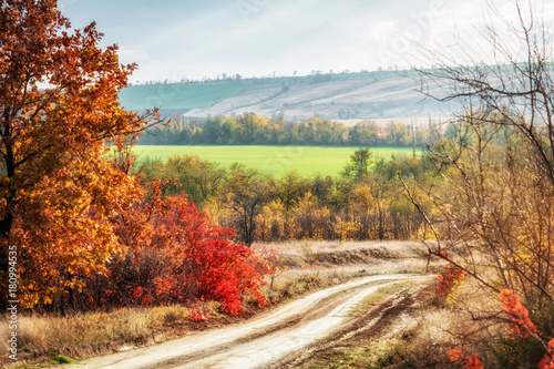 dirt road leading down on a beautiful autumn landscape