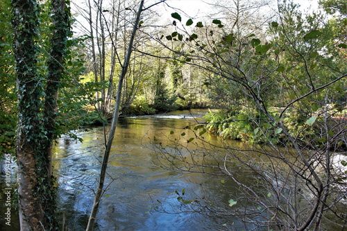 Walking along a river road with leaves of fallen trees in autumn, Near the river Xubia, San Sadurniño, A Coruna, Galicia, Spain, places and landscapes unknown, unknown roads,   photo