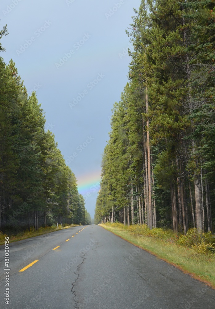 Naklejka premium canada