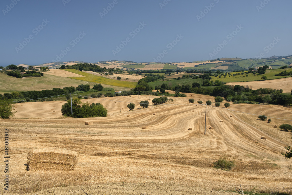 Landscape near Sant'Elpidio a Mare (Marches, italy) Landscape near Sant'Elpidio a Mare (Marches, italy)