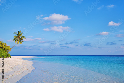 Fototapeta Naklejka Na Ścianę i Meble -  picture perfect tropical beach