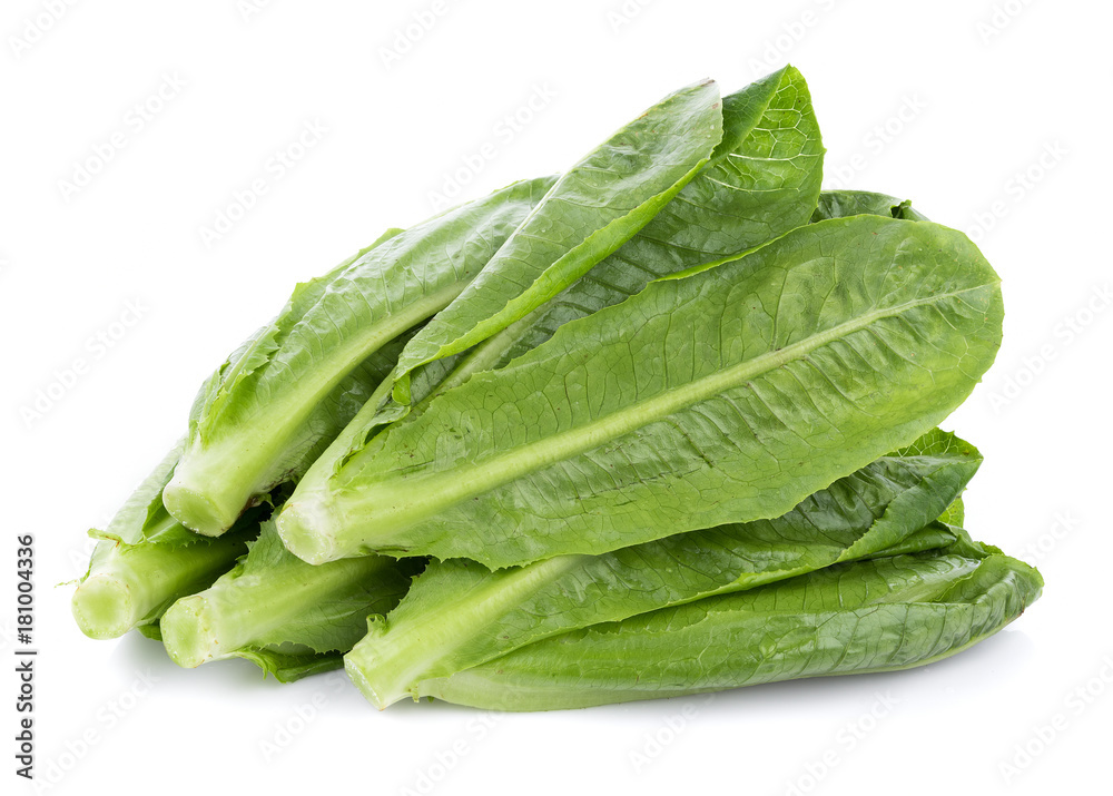 fresh cos lettuce isolated on white background fresh cos lettuce isolated on white background
