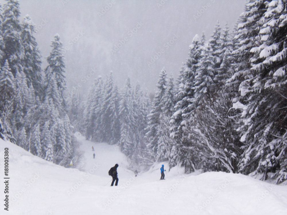 Views of snow capped mountains of Dombay . winter , snow